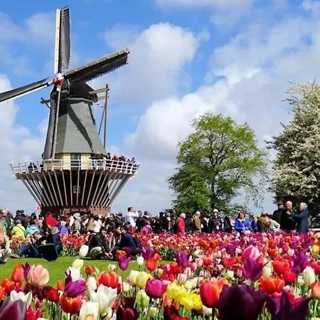 Hébergement de vacances Casa The Wave With Infrared Sauna